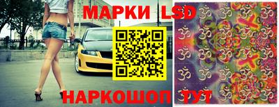 гидра Новозыбков