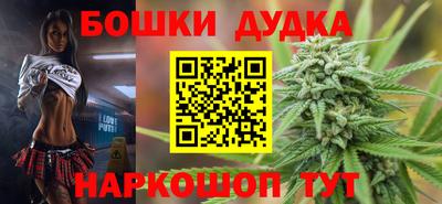 гидра Новозыбков
