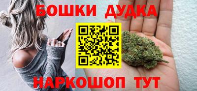 гидра Новозыбков