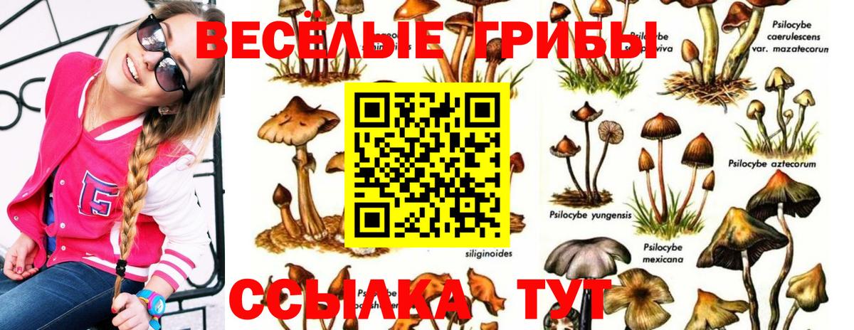 Псилоцибиновые грибы Magic Shrooms Холмск